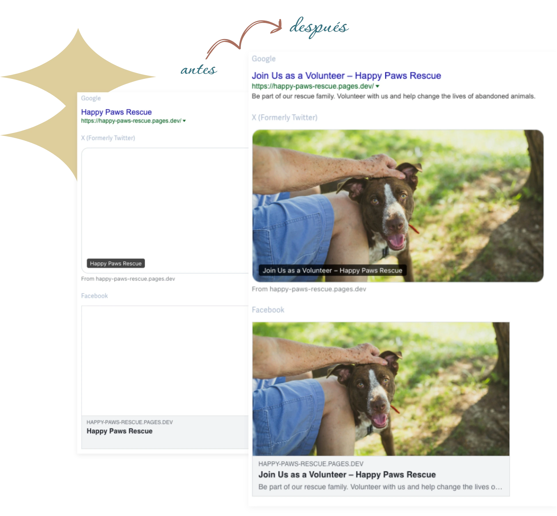 SEO optimization project for Happy Paws Rescue